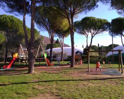 Cinghiali nei giardini della Sacra Famiglia